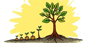 Como Investir com Pouco Dinheiro: Mitos e Verdades